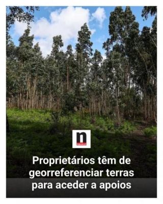 Balc&atilde;o &Uacute;nico do Pr&eacute;dio mant&eacute;m-se gratuito at&eacute; setembro