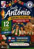 Marchas Populares de Santo Ant&oacute;nio em Nelas com a transmiss&atilde;o em direto no Facebook e YouTube